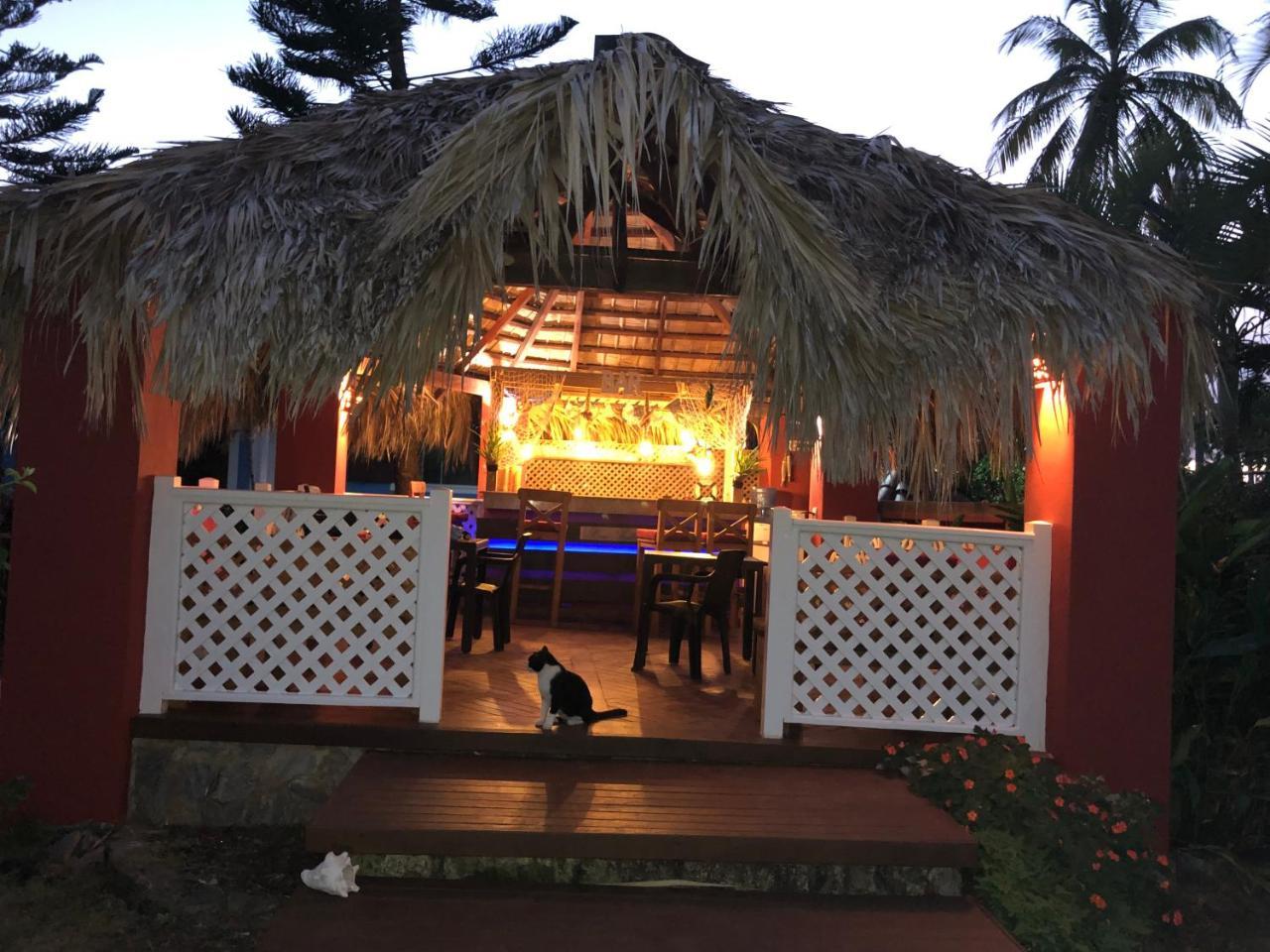 Casa Azul Las Galeras Extérieur photo