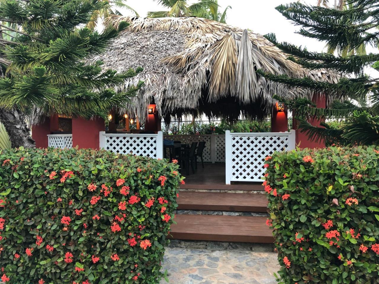 Casa Azul Las Galeras Extérieur photo